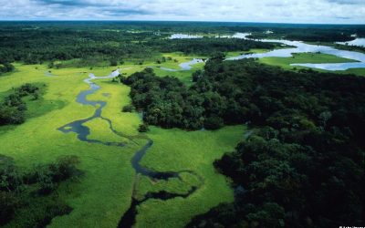 WWF gratuliert Bischof Kräutler für seinen Einsatz am Amazonas
