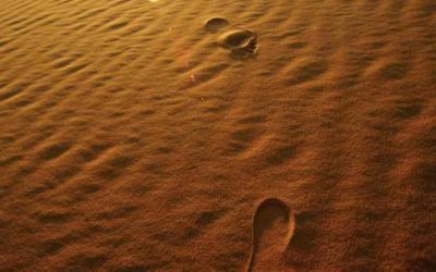 WWF-Studie: Chinas Fußabdruck wird immer größer