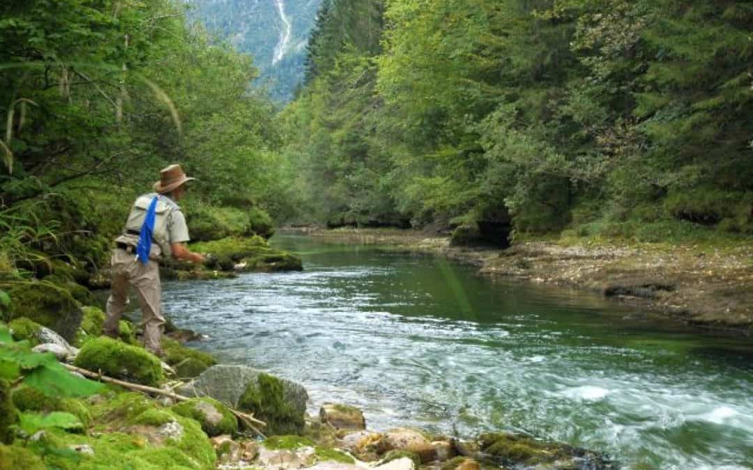 Oberösterreichs Flüsse brauchen mehr Platz – Jeder Hektar zählt!