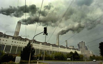 WWF warnt vor Klimarückschritt: Europas Politik muss Farbe bekennen