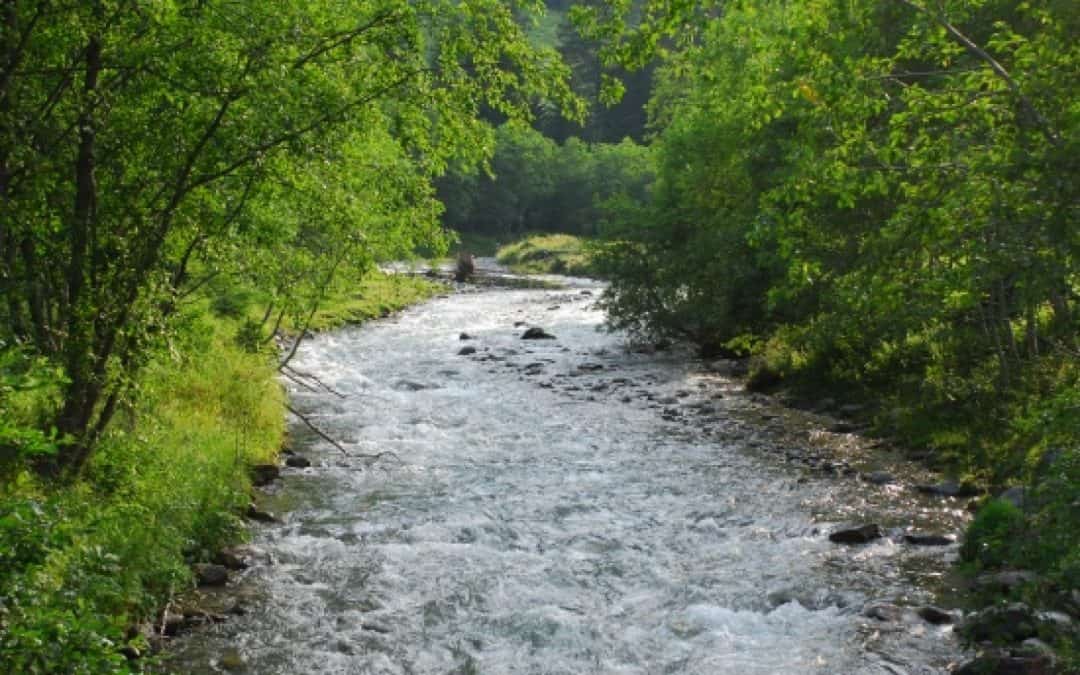 WWF Österreich begrüßt neue Natura-2000-Gebiete in Kärnten