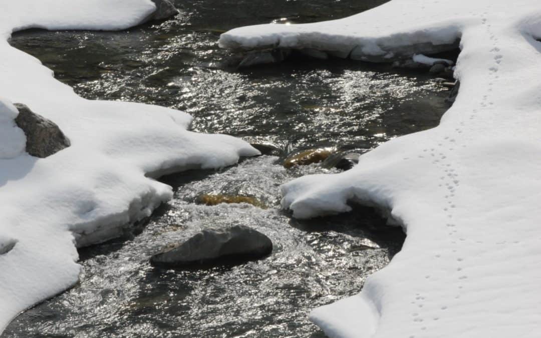 Berlakovich tarnt Flusszerstörung als Sanierung