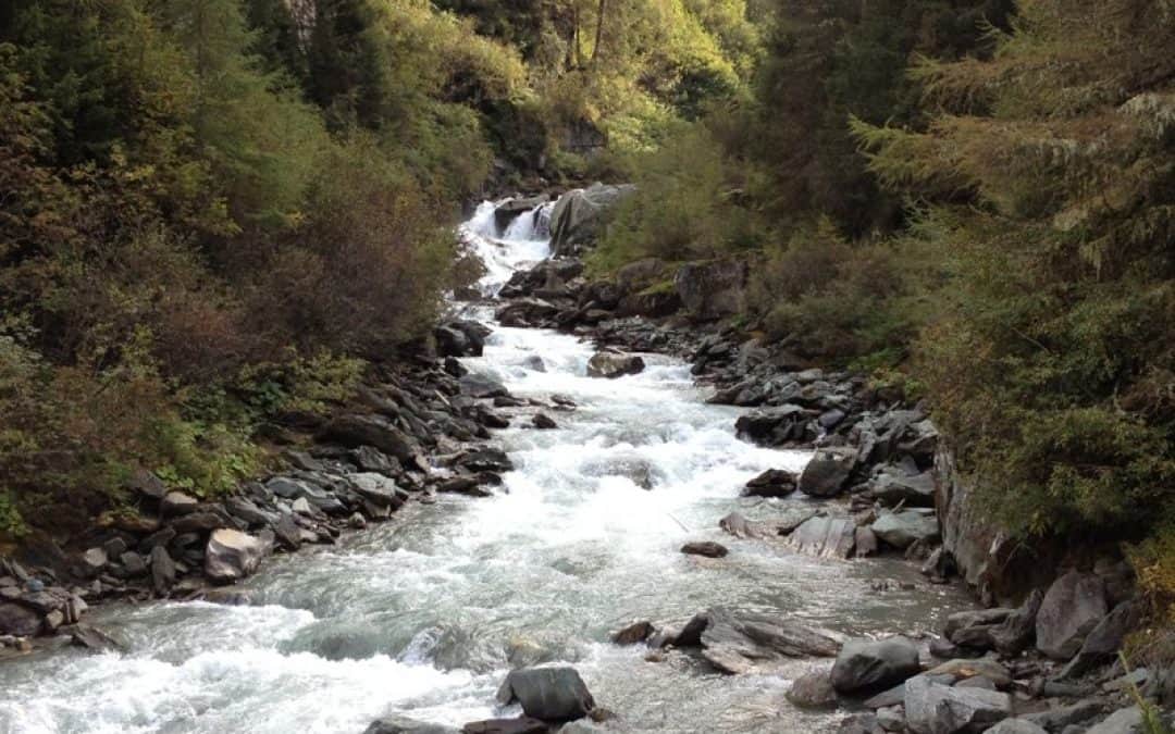 WWF an Landeshauptmann: Regionalplan Osttirol statt ökologischer Katastrophe