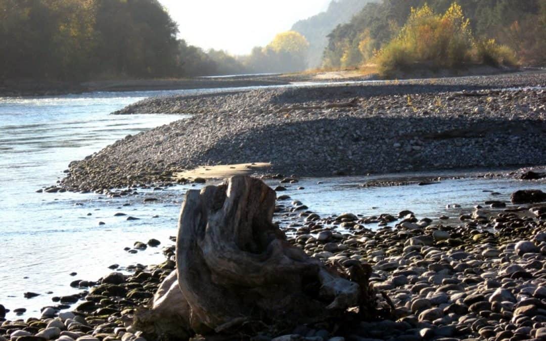 WWF: Naturschutz muss zentrales Thema im Tiroler Koalitionsabkommen sein