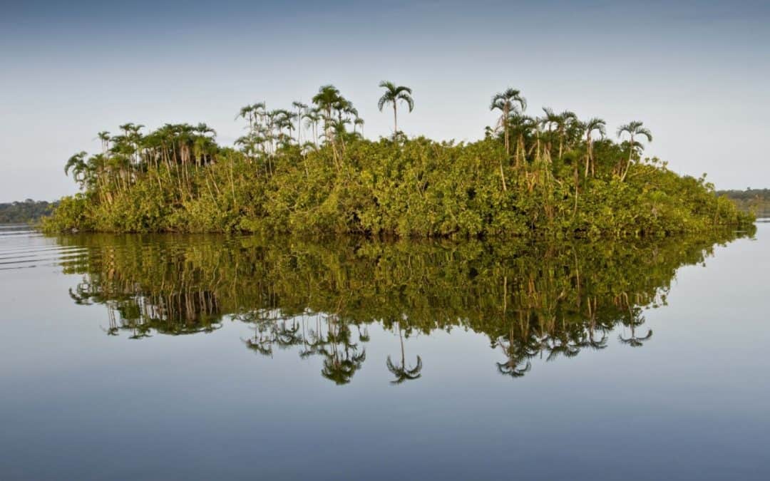 WWF: Neuer Nationalpark in Peru