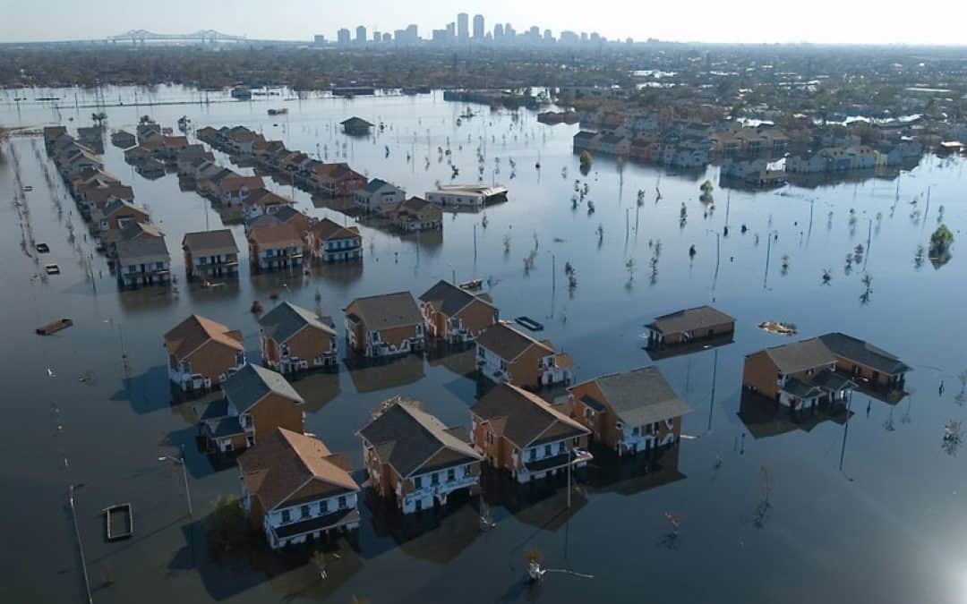 WWF: Wirbelsturm Sandy ist Folge des Klimawandels