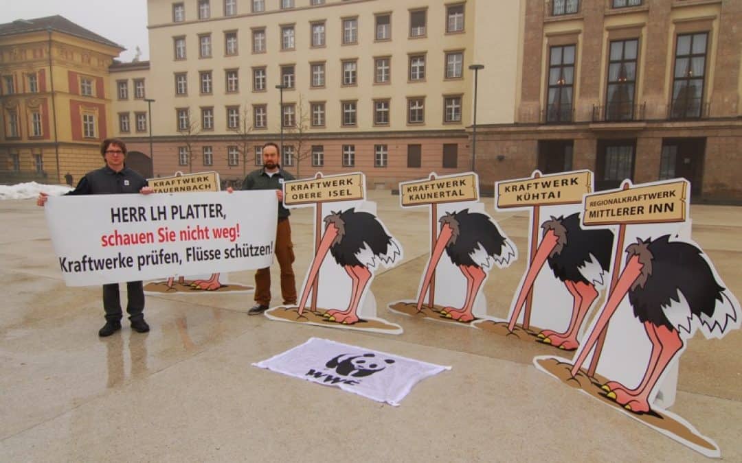 Tiroler Wasserkraftpolitik: Regierung steckt Kopf in den Sand