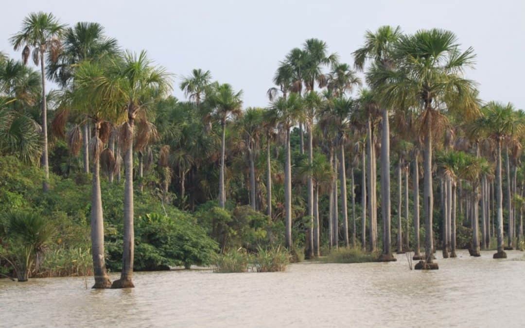 Bolivien begründet größtes Feuchtgebiet der Welt