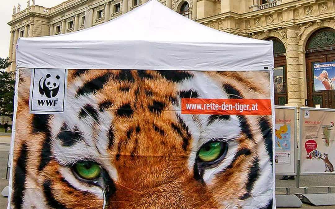 WWF ab heute mit Tiger-Ausstellung in Innsbruck