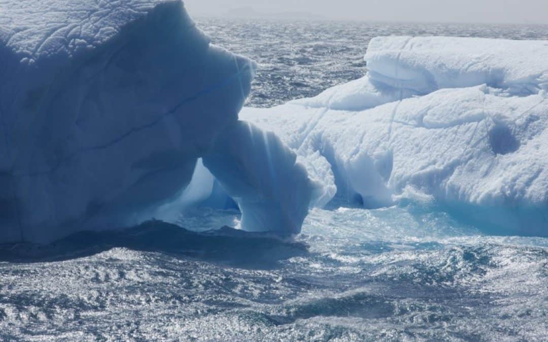 WWF: Größtes Meeresschutzgebiet der Welt in der Antarktis geplant