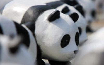 WWF: Aktion mit 1.000 Pandabären in Innsbruck abgesagt