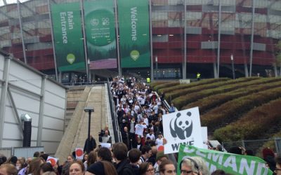 WWF: Wir lassen uns nicht verkohlen