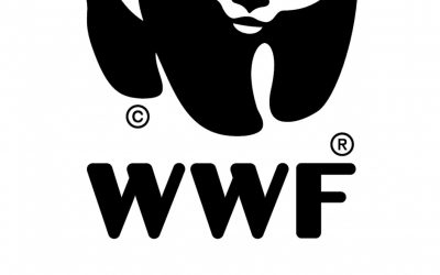 WWF Österreich feiert 50 Jahre Kampf für Umwelt und Artenvielfalt