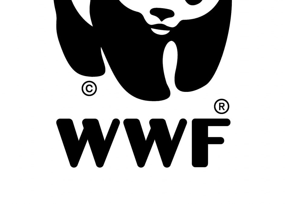 WWF Österreich feiert 50 Jahre Kampf für Umwelt und Artenvielfalt