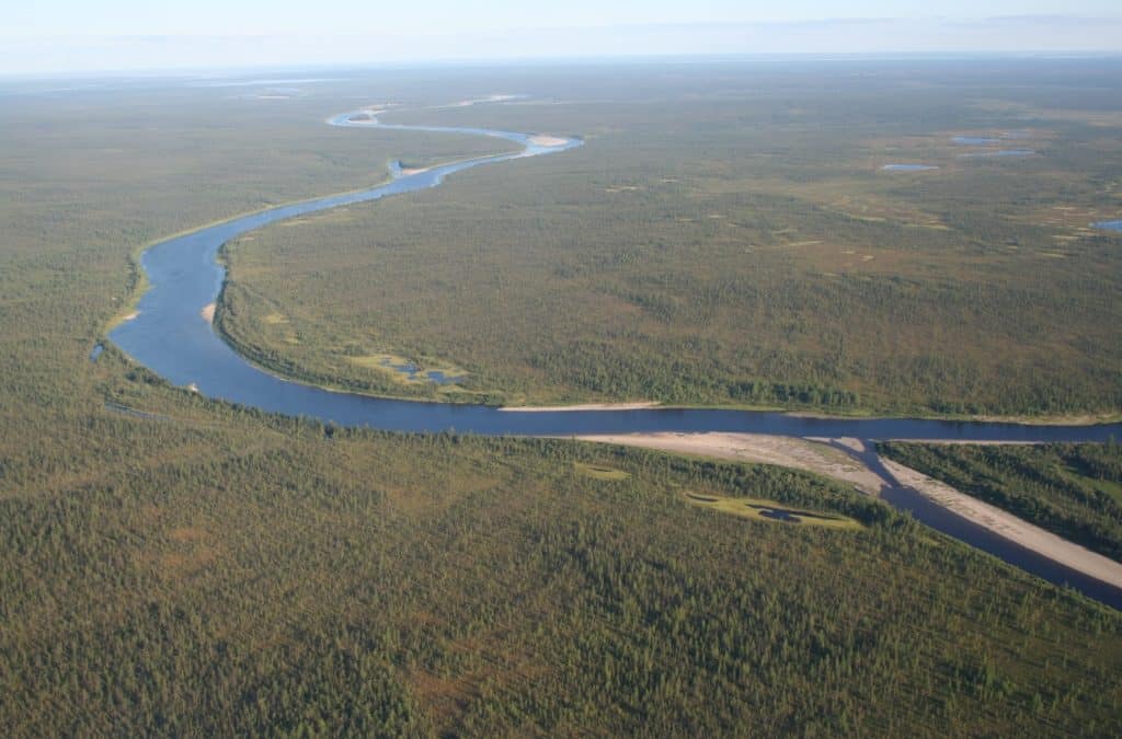 WWF und Mondi stärken Ökosysteme durch verantwortungsvolles Wirtschaften