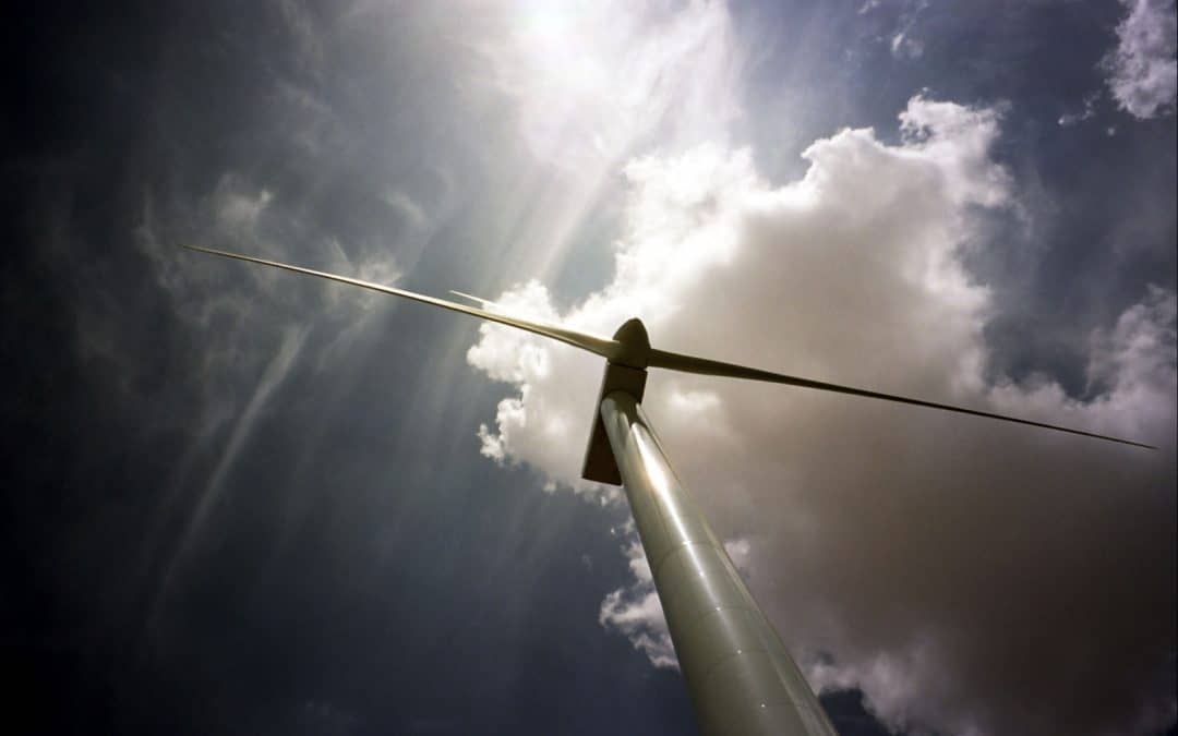 Windkraft nächst dem Nationalpark Donau-Auen