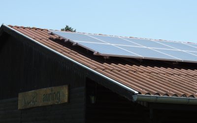 Solarpower für die vogel.schau.plätze in Hohenau a.d. March