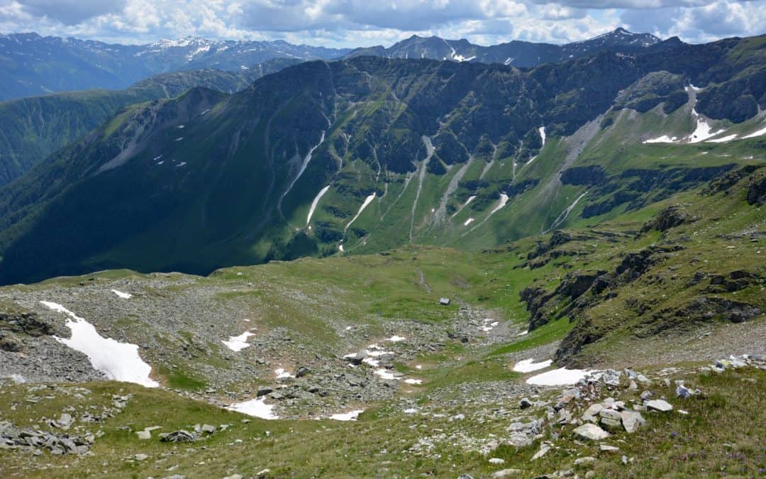 WWF: Stoppt die Talfahrt des Naturschutzes in der Kleinfragant