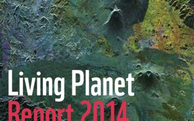 Living Planet Report 2014: WWF schlägt Alarm für den Planeten