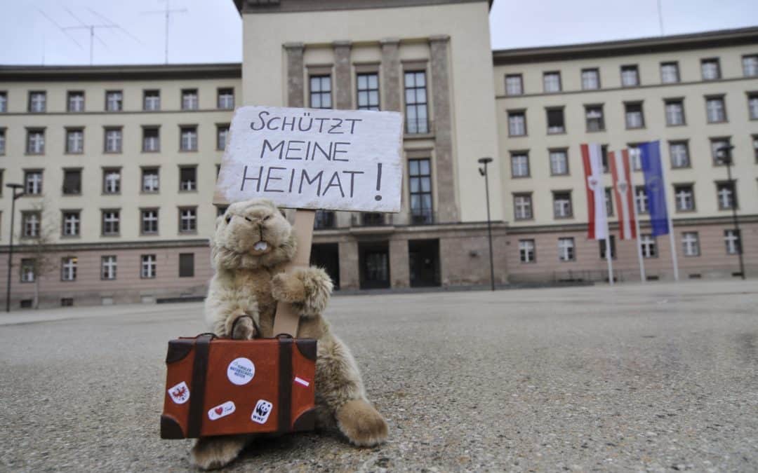 Tirol: Daumen nach unten für Skandalnovelle zum Naturschutzgesetz