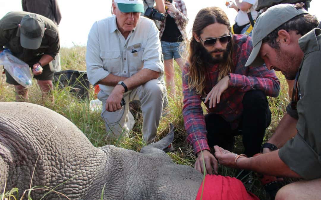 Oscar-Gewinner Jared Leto kämpft für den WWF