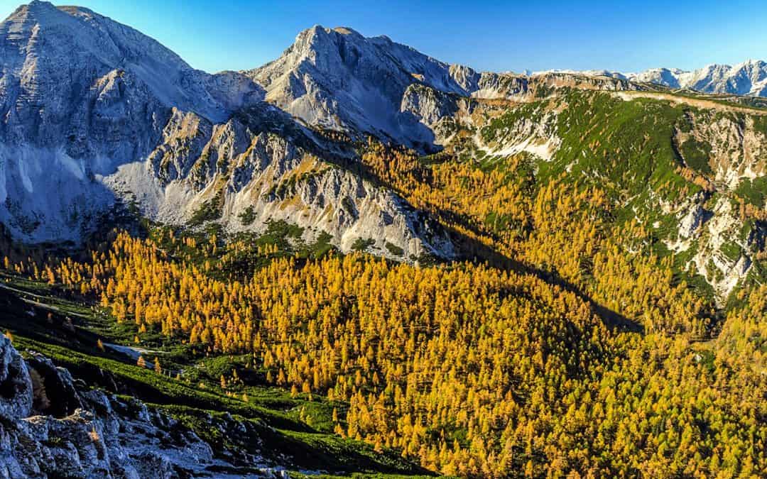 WWF erfreut über Pühringer-Absage an Warscheneck-Tunnel