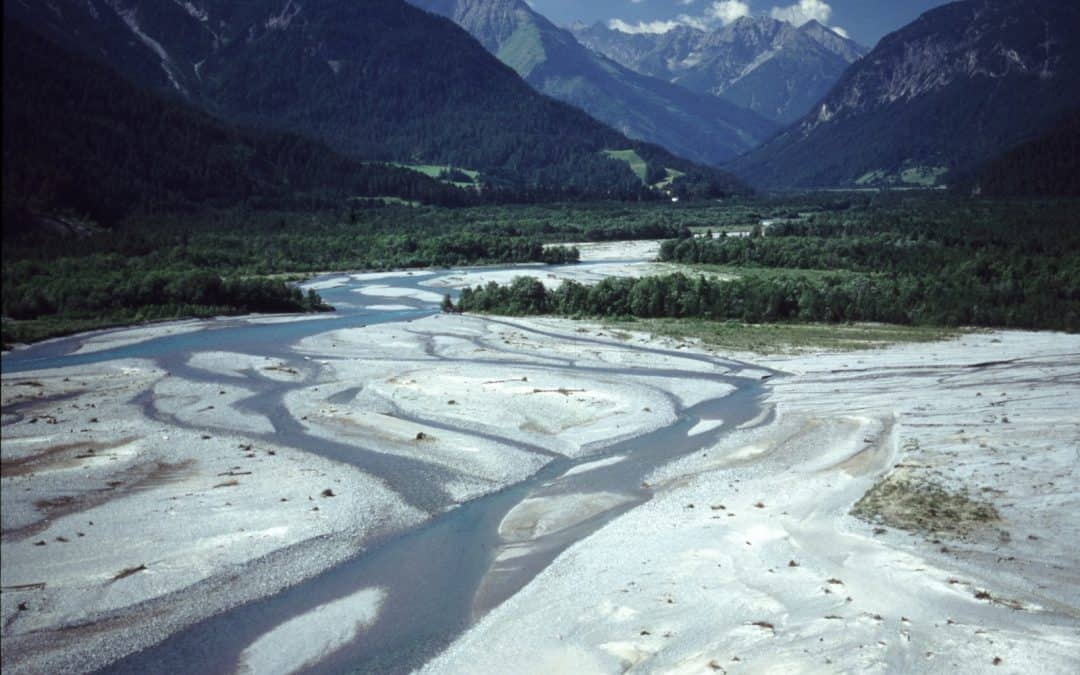 WWF fordert Naturschutz-Check für Ökostrom-Förderungen