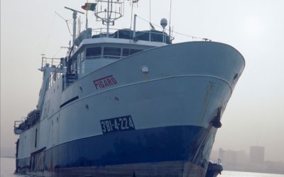 NGOs begrüßen Vorschlag der EU Kommission, Kontrollen und Transparenz der EU-Fischereiflotte weltweit zu erhöhen