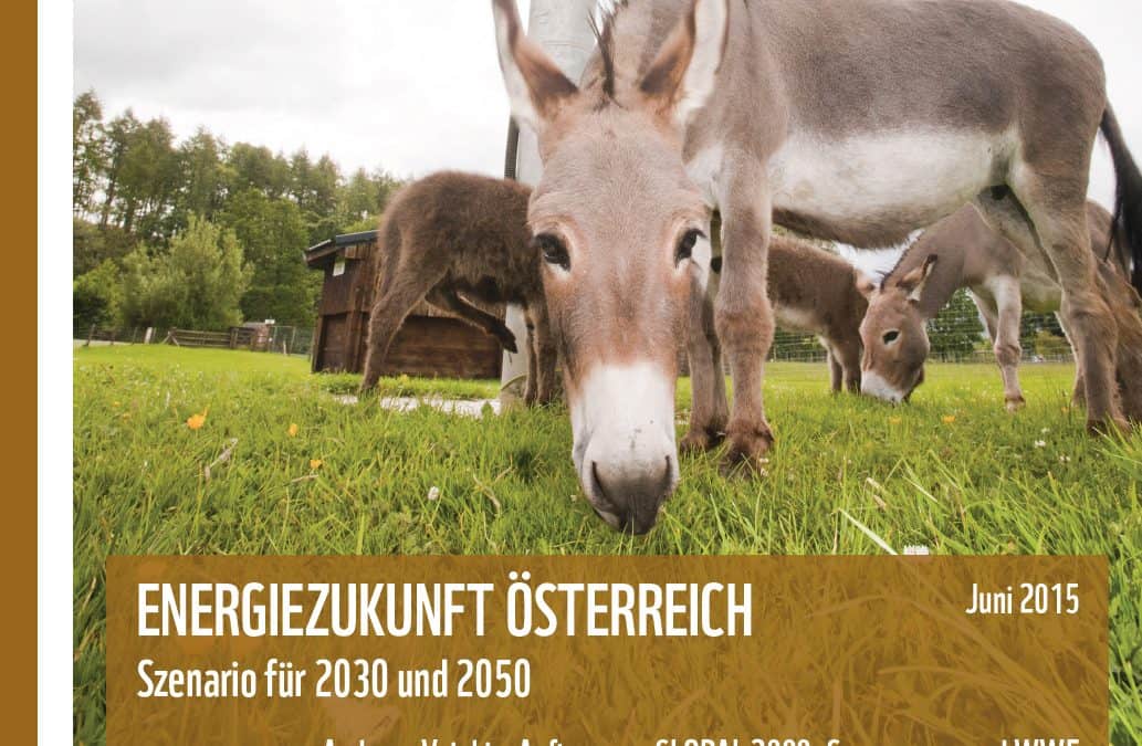 Umweltorganisationen fordern Bedingungen für eine effektive Energie- und Klimastrategie