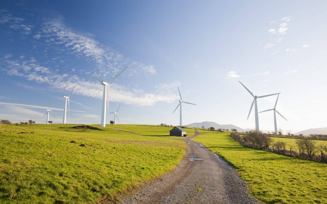 WWF: Beim Ökostromgesetz muss endlich Tempo rein