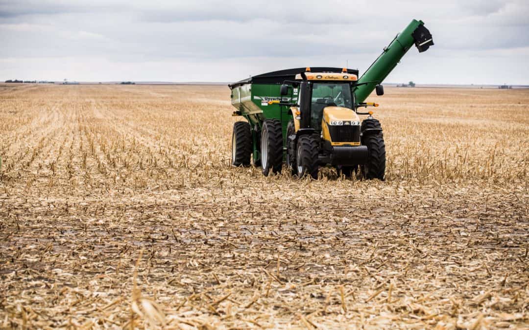 WWF Studie Hunger auf Land: Unsere Ernährung frisst wertvolle Lebensräume auf