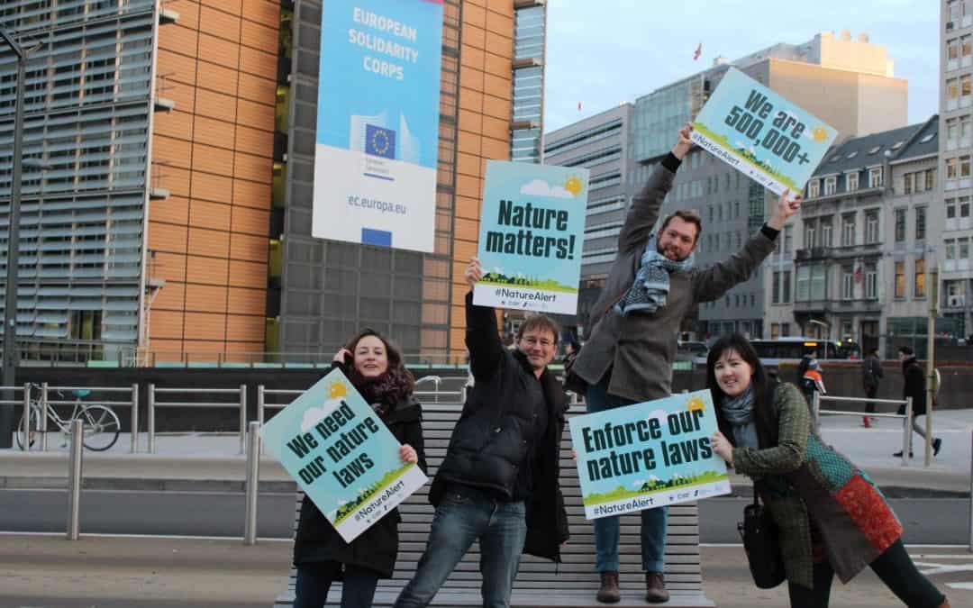 Umweltdachverband, BirdLife & WWF: Vorzeitiges Weihnachtsgeschenk der EU-Kommission