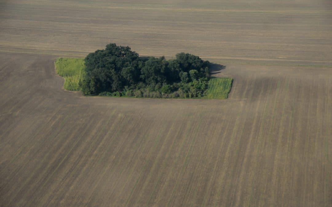 WWF: Mitmachen bei der Online-Konsultation zur Zukunft der EU-Landwirtschaftspolitik