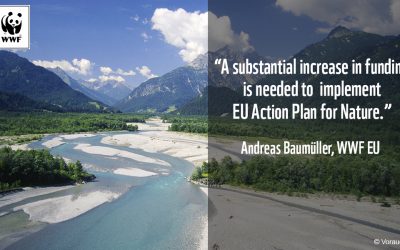 WWF und Umweltdachverband zum EU-Aktionsplan: