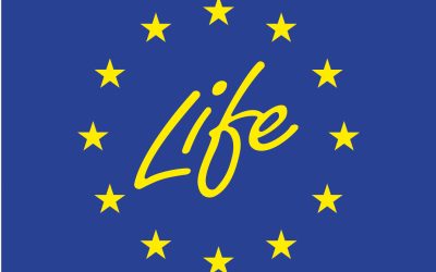 Eine starke Lobby für Europas Natur: 25 Jahre LIFE – Programm