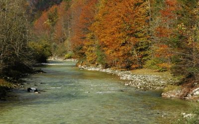WWF-Studie: Schutz der Flussjuwele Oberösterreichs und Energiewende sind vereinbar