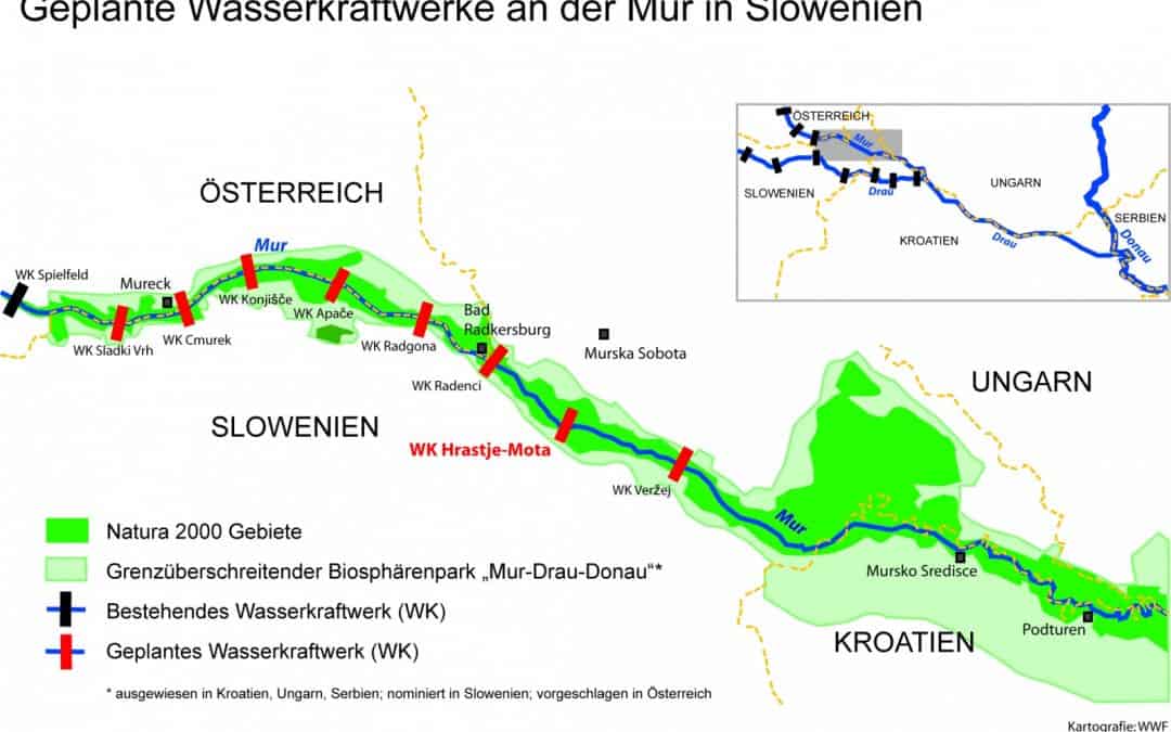 WWF und Naturschutzbund: Rettet die Mur – stoppt die Dämme!