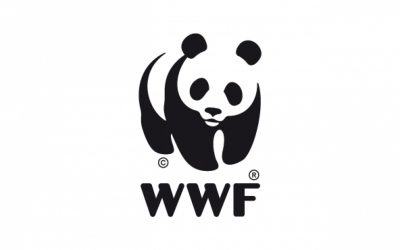 WWF fordert Naturschutz-Check für Ökostrom-Förderungen