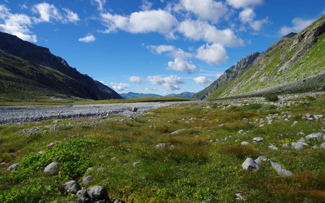 WWF gratuliert: Salzburger Sulzbachtäler werden Wildnisgebiet