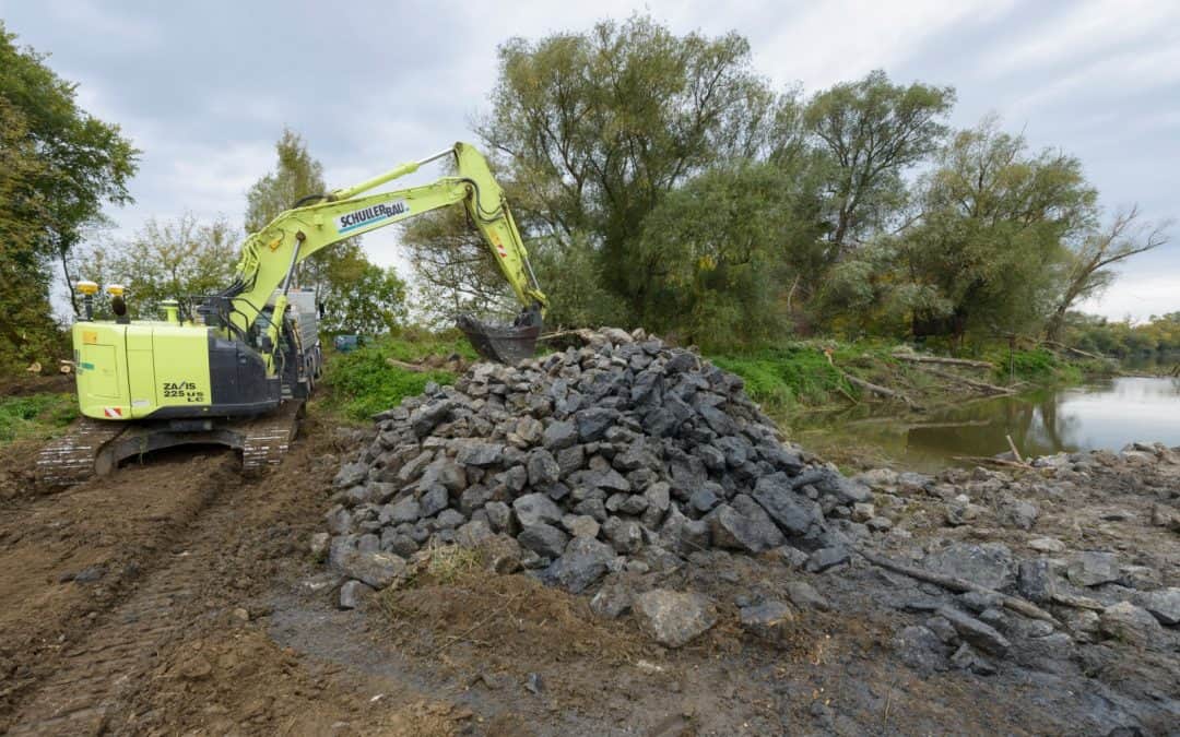 Viel im Fluss: Verbesserungen für Fische, Eisvogel & Co. stehen bevor