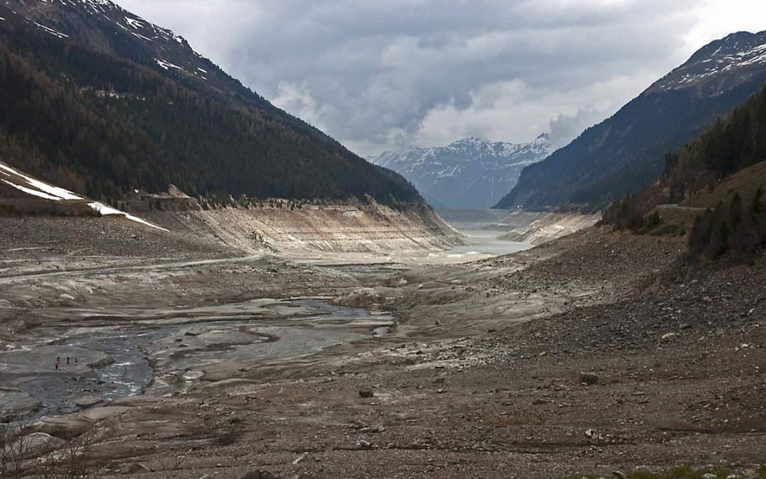 WWF fordert Rücknahme des Standort-Entwicklungsgesetzes