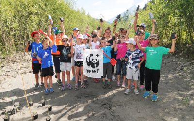 WWF und Tiroler Schulklassen bringen ausgestorbene Pflanzenart zurück an den Inn