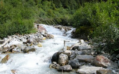 Angriff auf die letzten Flussjuwele Osttirols – WWF erhebt Einspruch