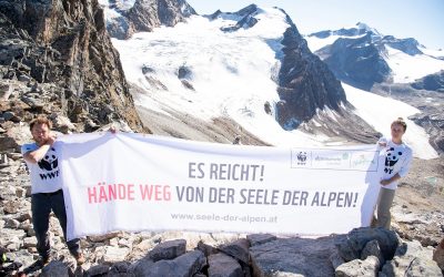 WWF: Tiroler Alpinräume in akuter Gefahr