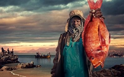 Weltfischereitag: Jeder zehnte Mensch von Überfischung bedroht