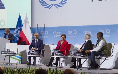 WWF Österreich: Klimagipfel bringt Minimalkompromisse mit vielen Lücken