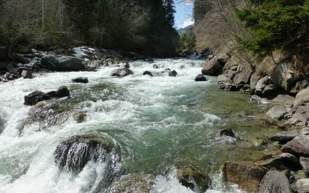 WWF kritisiert zahnlose Umweltverfahren an der Isel in Osttirol: Landesregierung riskiert Schutzgebiete