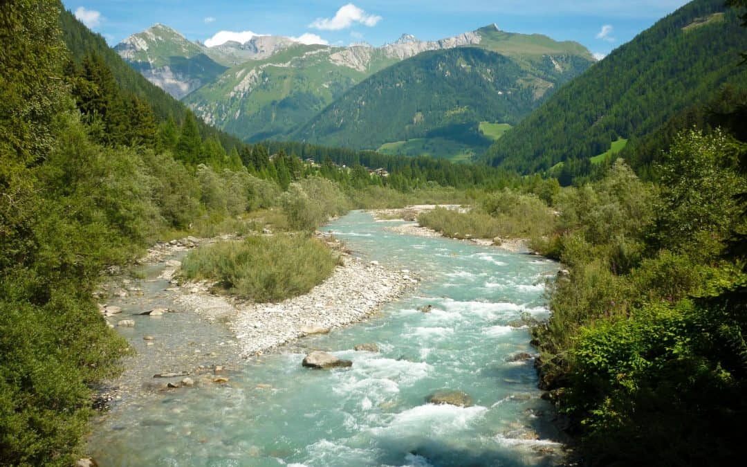 WWF Österreich zum Weltwassertag: Wichtigste Ressource der Menschheit muss besser geschützt werden