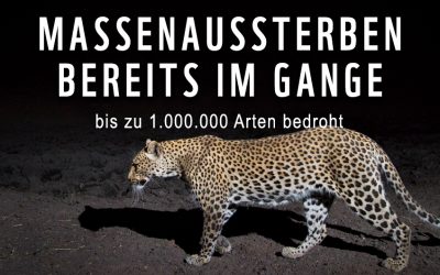 WWF Österreich fordert Schutzschild für Umwelt und Natur:  Bis zu eine Million Tier- und Pflanzenarten drohen auszusterben