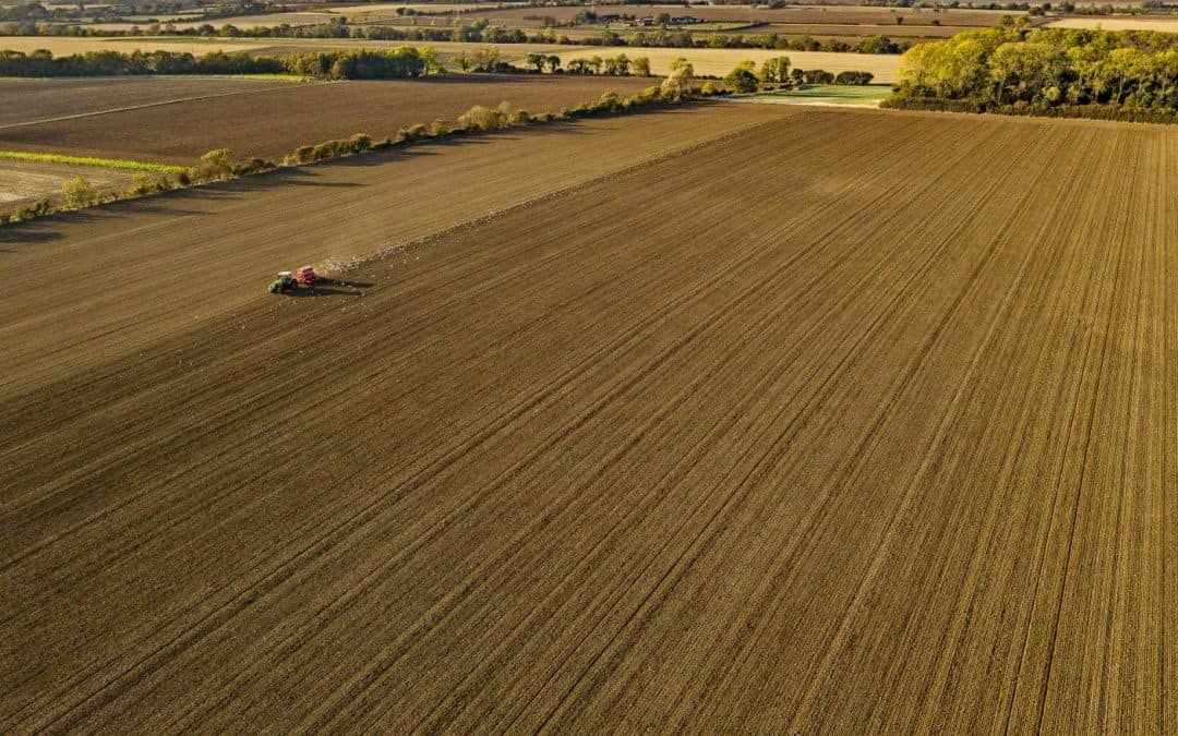 WWF zum Bericht des Weltklimarats: Raubbau an der Natur stoppen